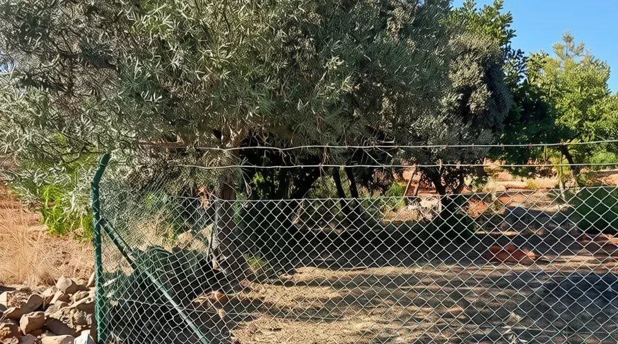 Rustic flat land with 4240 sqm in the Algarve