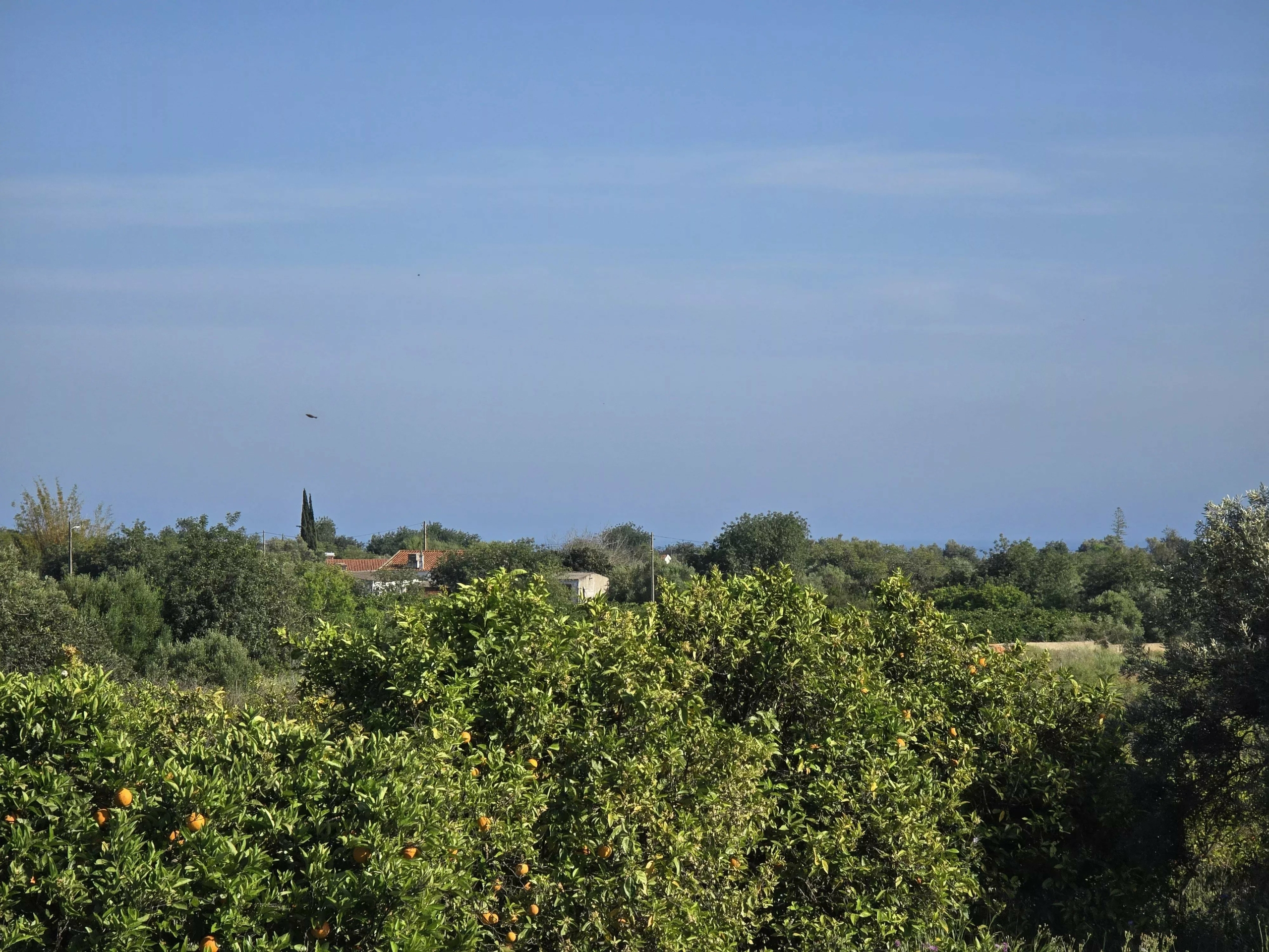 6 room Farmhouse with 1.5 hectares of land and sea view