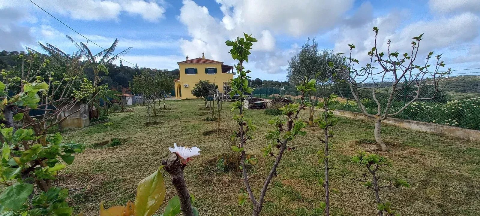 Mixed-use property with 150 m² commercial space, self-contained 2-bedroom apartment and 2,600 m² plot — 3 km from Loulé, Algarve