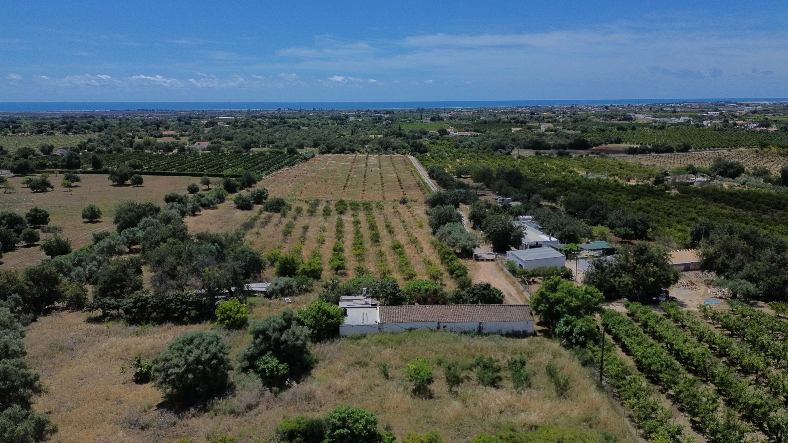 6 room Farmhouse with 1.5 hectares of land and sea view