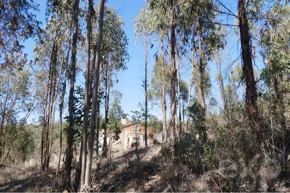 Außergewöhnliches Landgut von 65 ha im Alentejo mit touristischem Entwicklungspotenzial