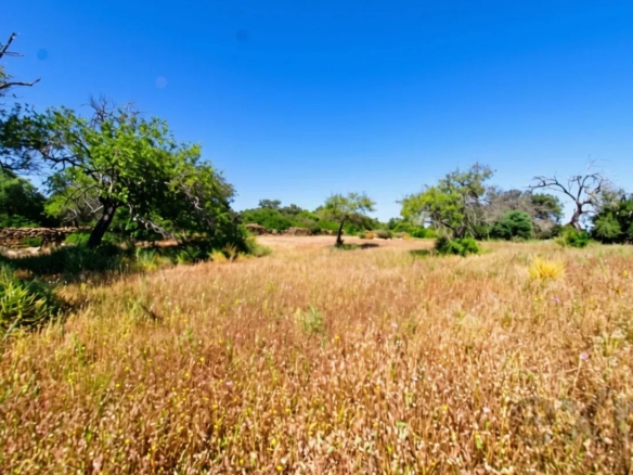 Rustic land of 5080 m2 for sale in Estoi, Faro
