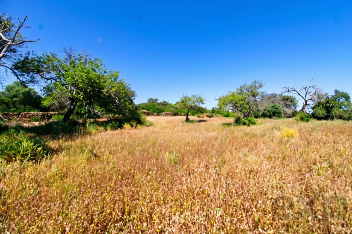 Rustic land of 5080 m2 for sale in Estoi, Faro