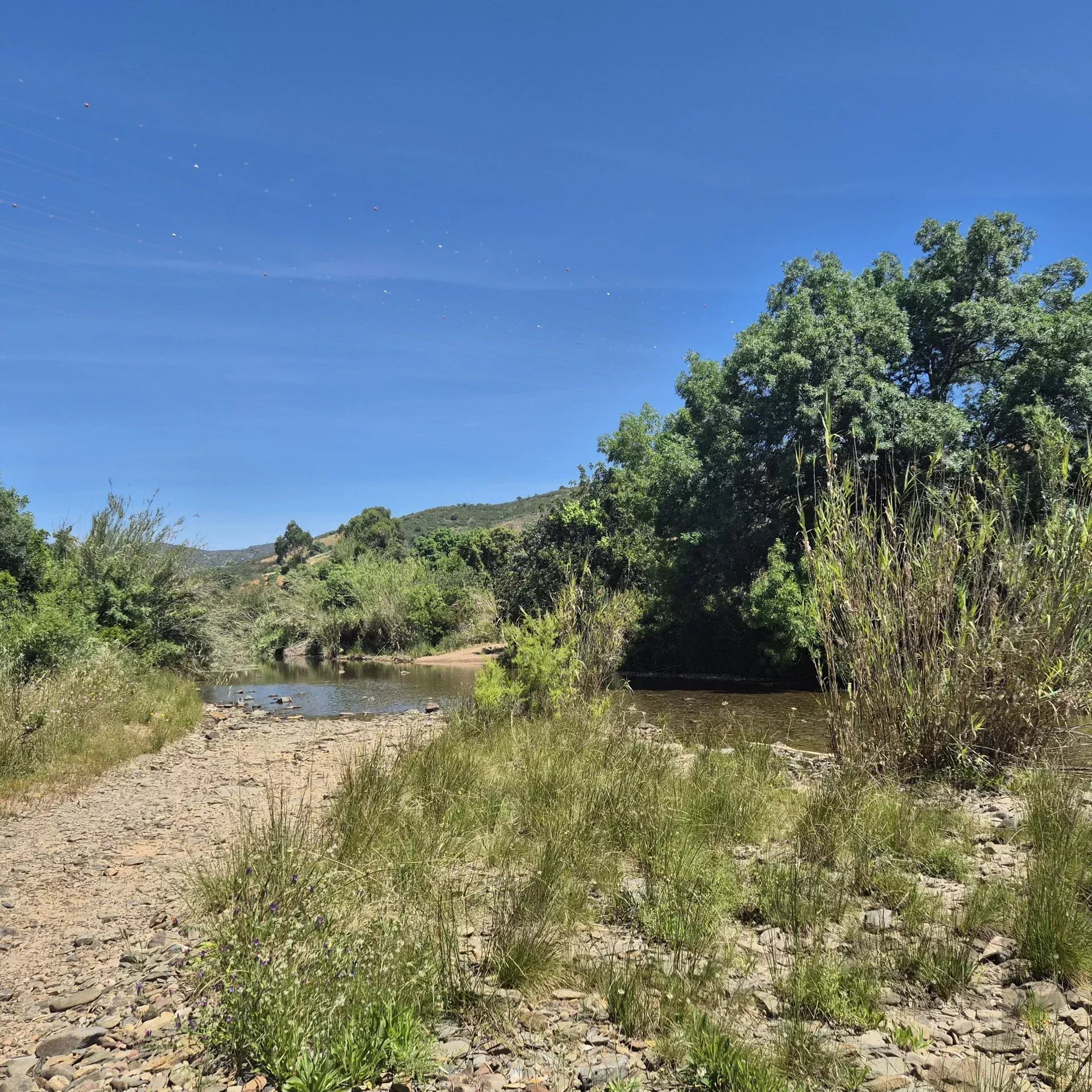 Rustic land in Bengado