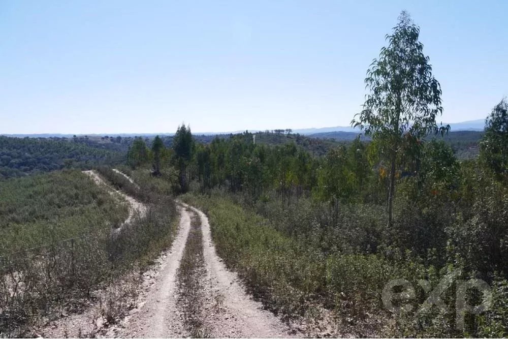 Außergewöhnliches Landgut von 65 ha im Alentejo mit touristischem Entwicklungspotenzial