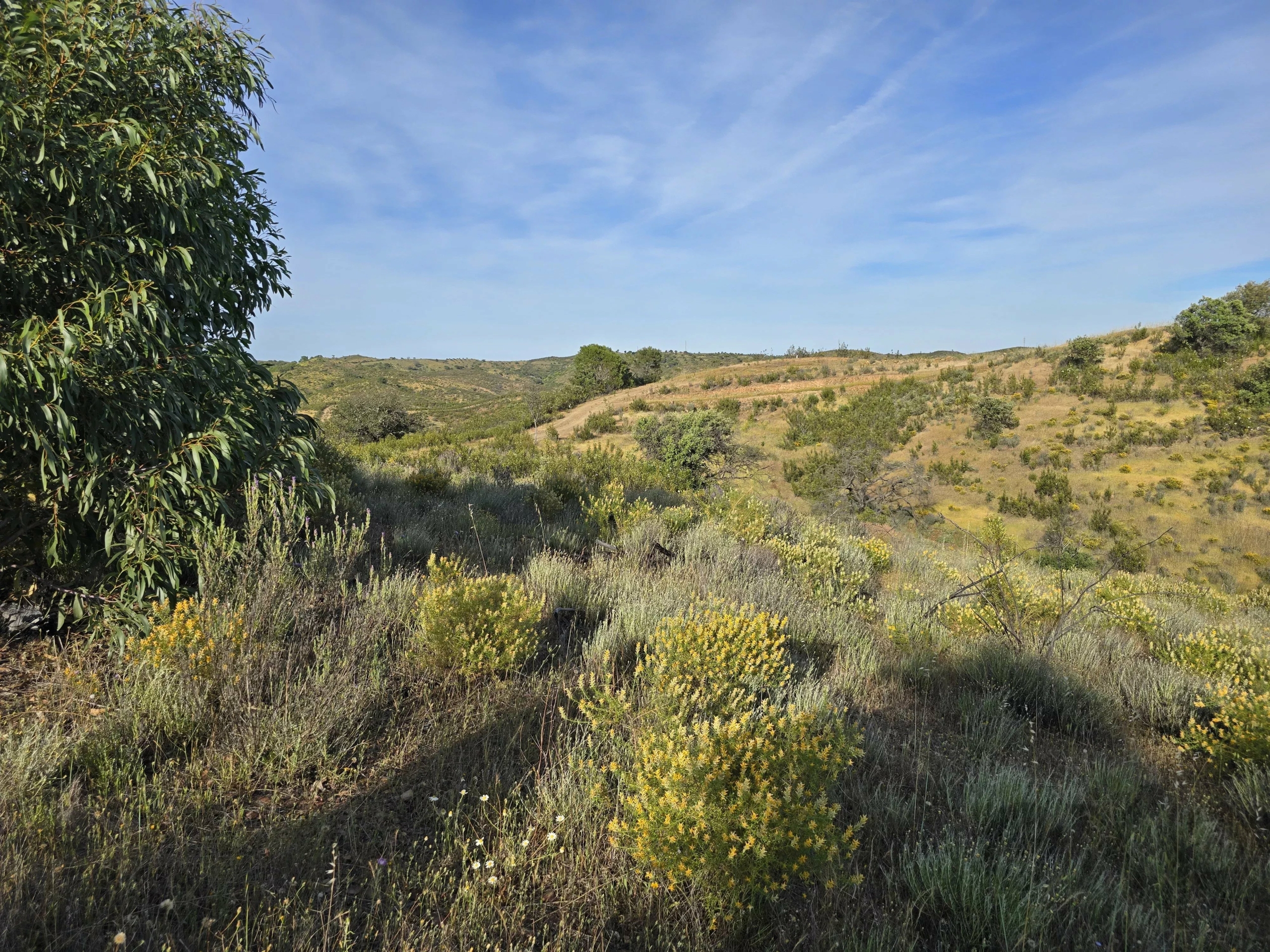 Rural land with sea view over one hectare