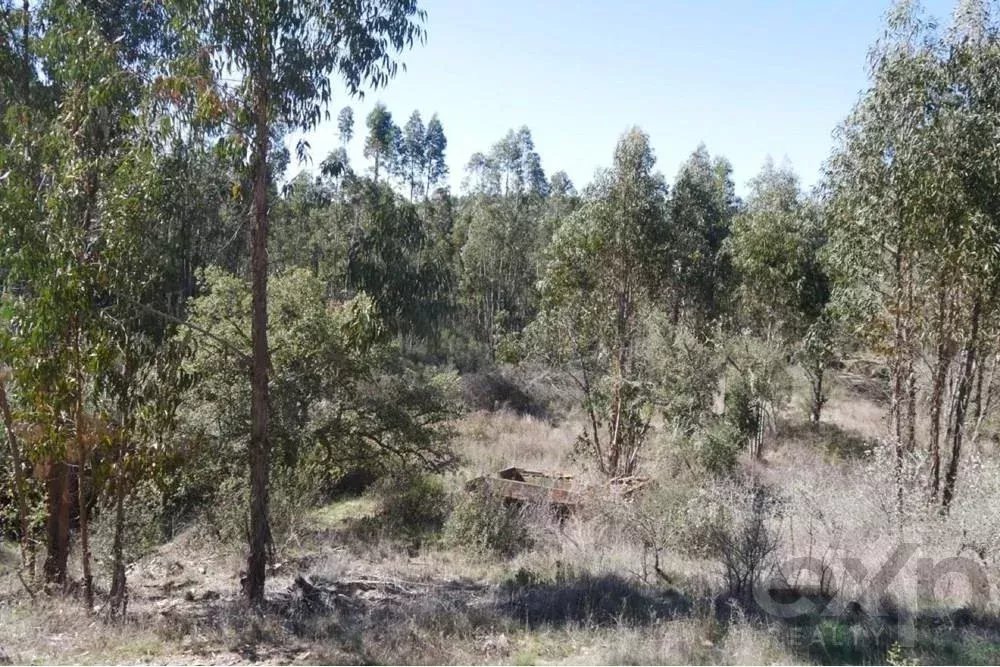 Außergewöhnliches Landgut von 65 ha im Alentejo mit touristischem Entwicklungspotenzial