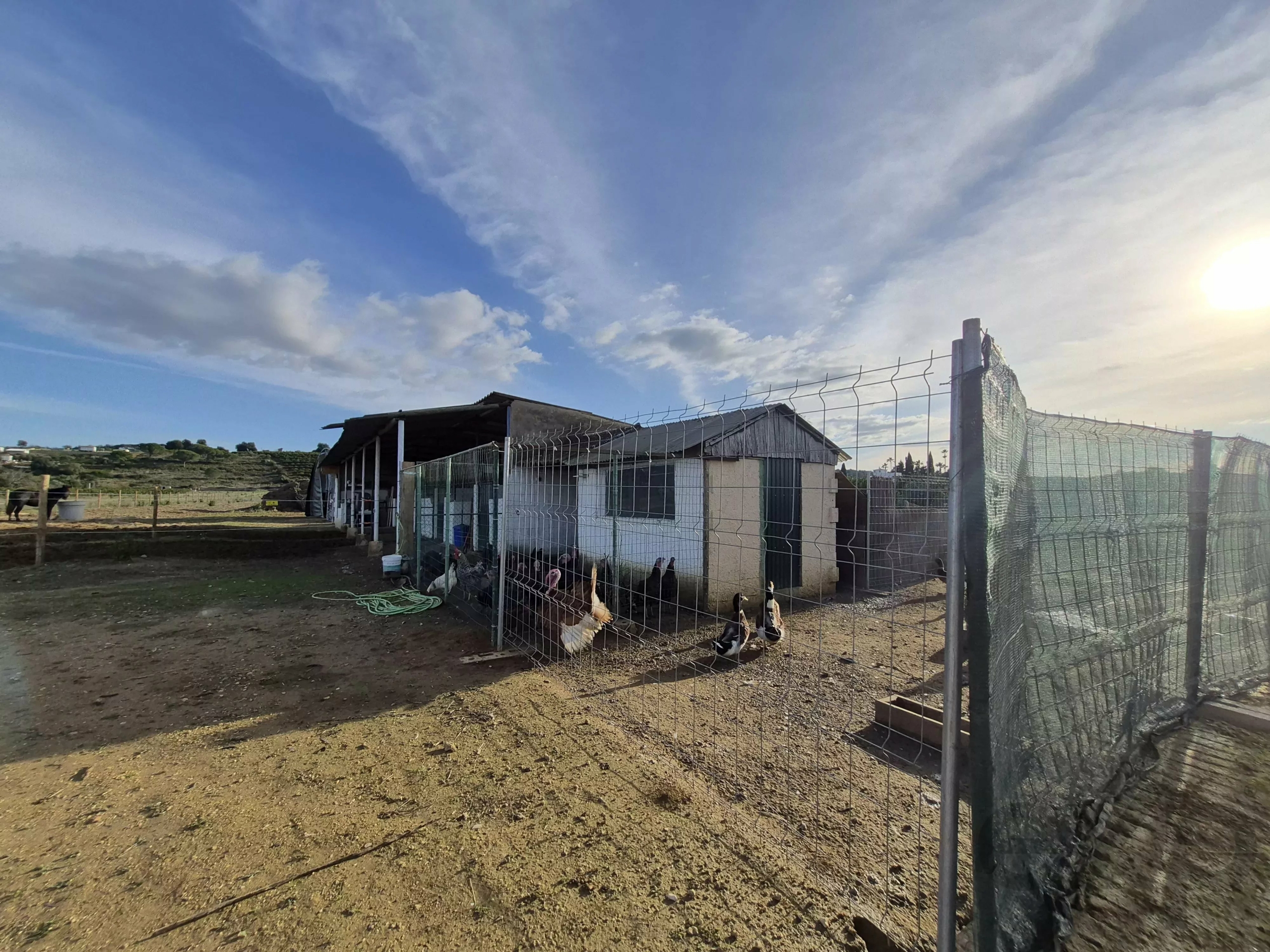 Renovated farmhouse ideally located in the middle of nature.