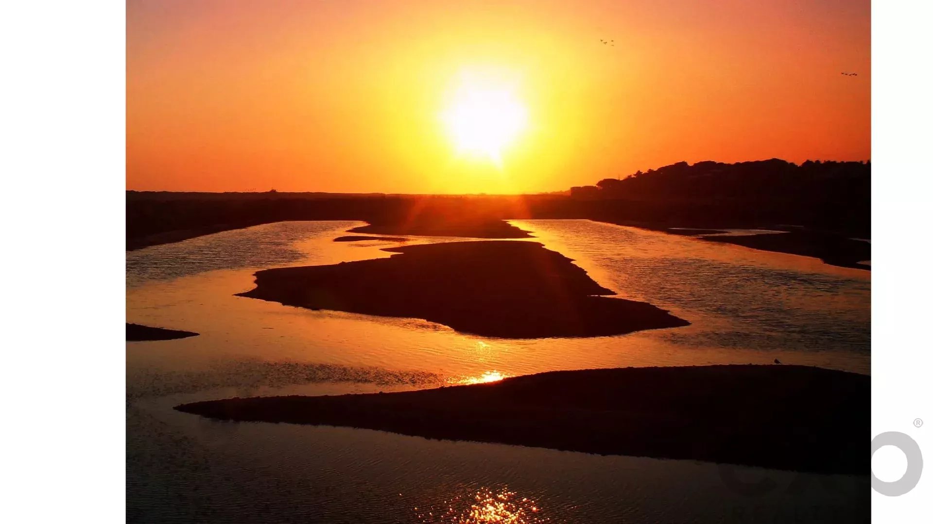 Luxury 4-Bedroom Villas with Private Pool Overlooking the Ria Formosa