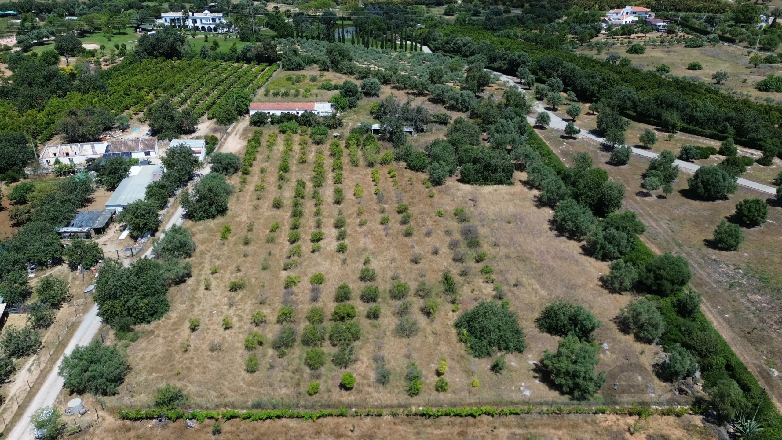 6 room Farmhouse with 1.5 hectares of land and sea view