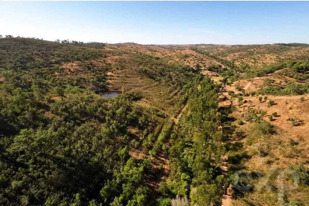 Außergewöhnliches Landgut von 65 ha im Alentejo mit touristischem Entwicklungspotenzial