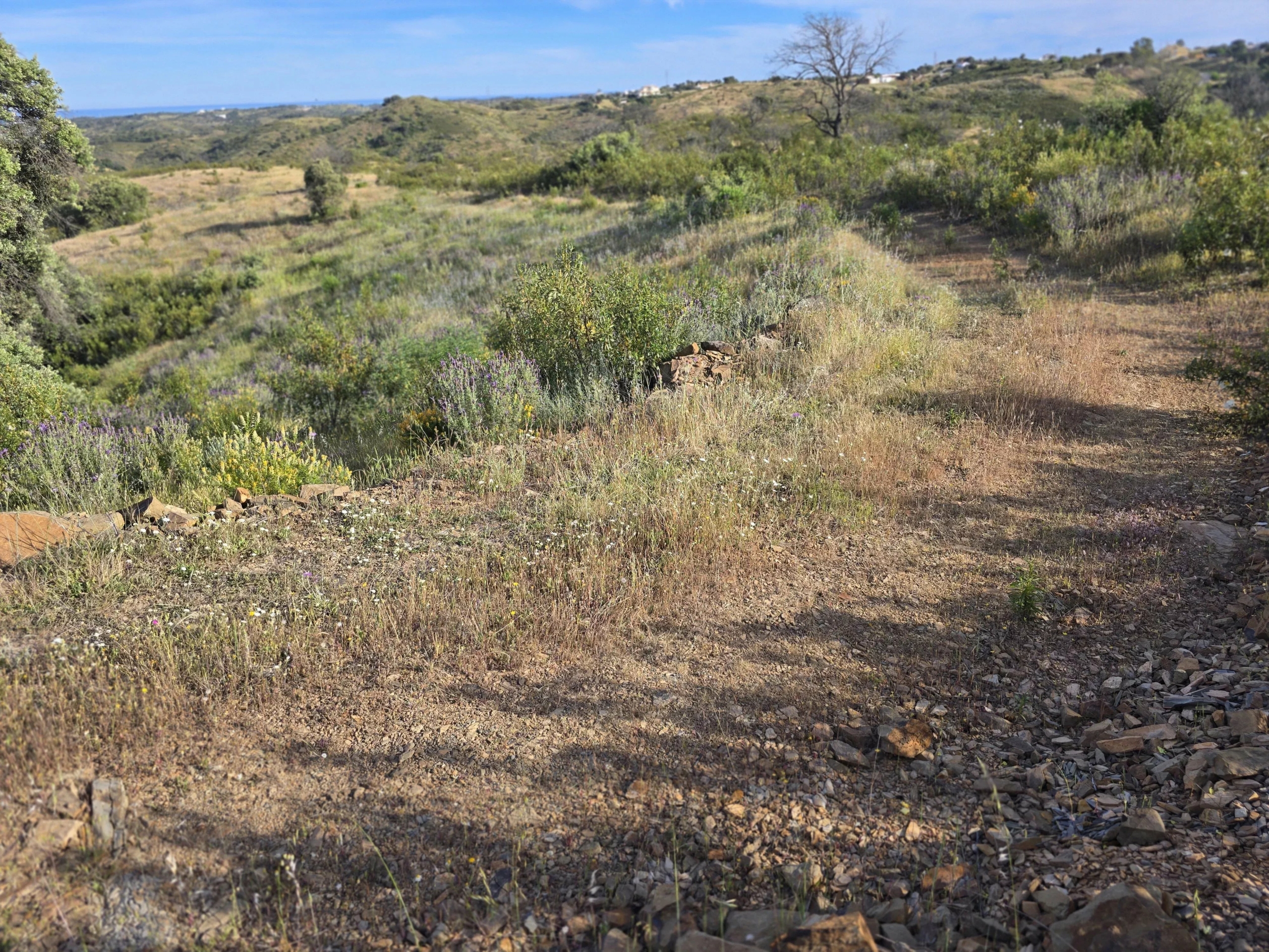 Rural land with sea view over one hectare