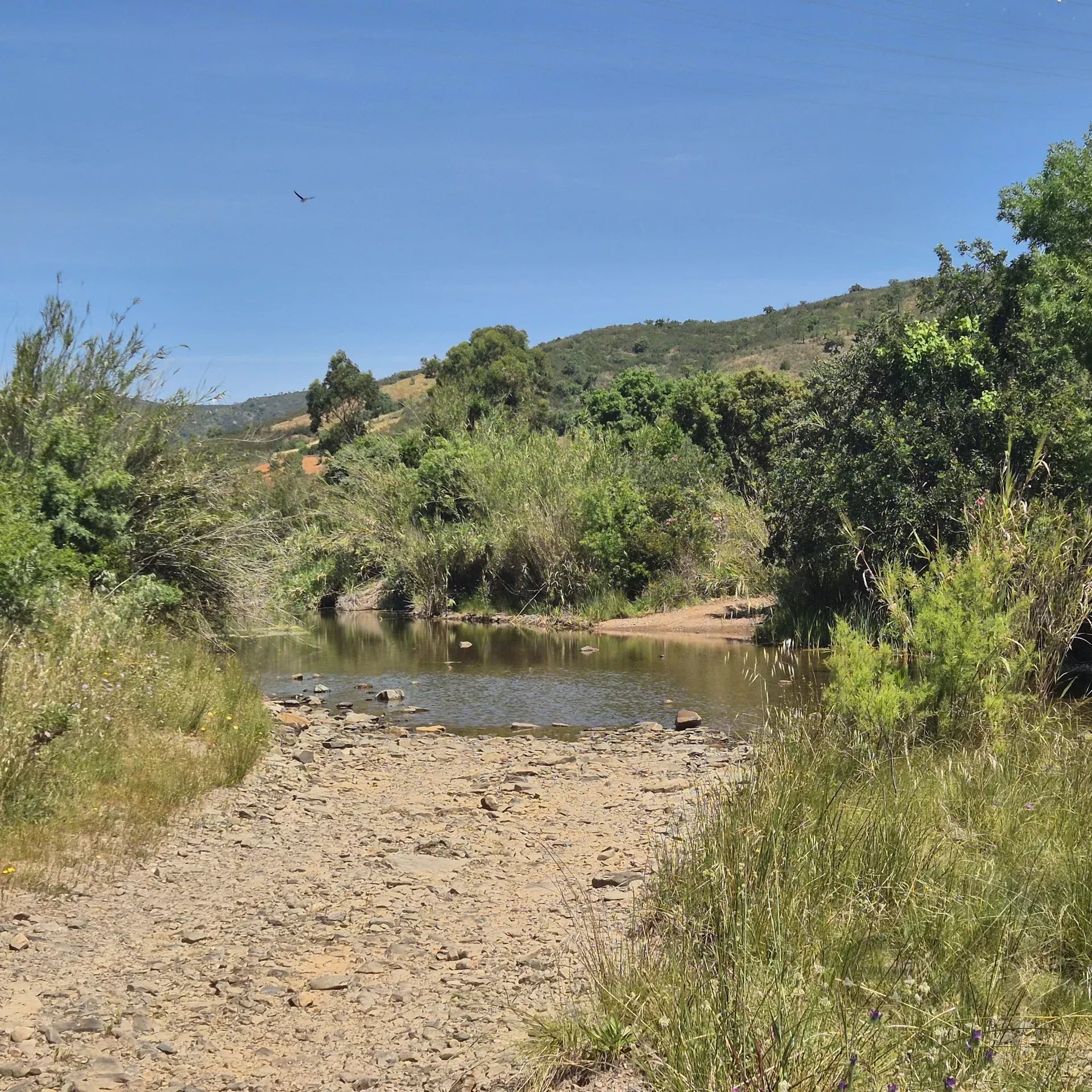 Rustic land in Bengado
