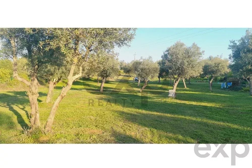 Buildable land with a ruin and an approved project