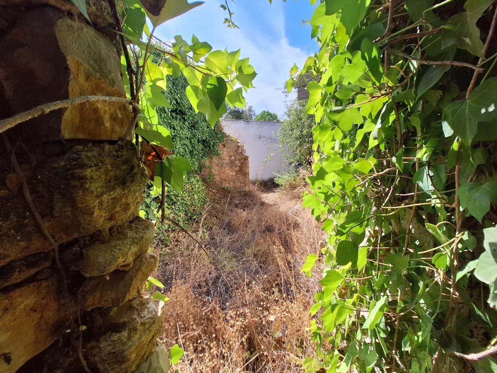 Terreno urbano para construção
