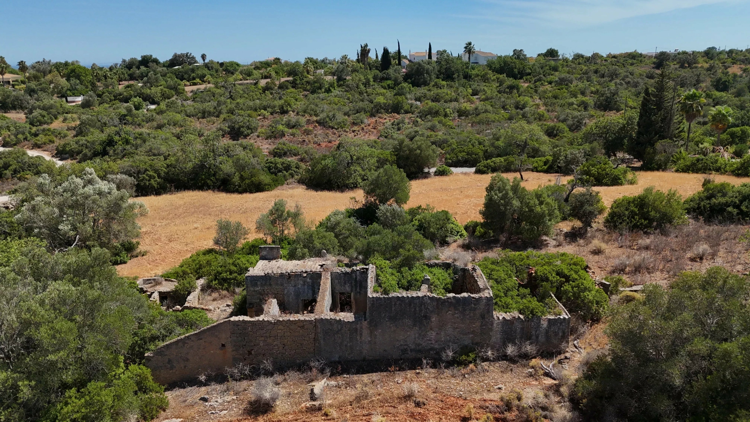Mixed Land with Ruin | Potential for Custom Project