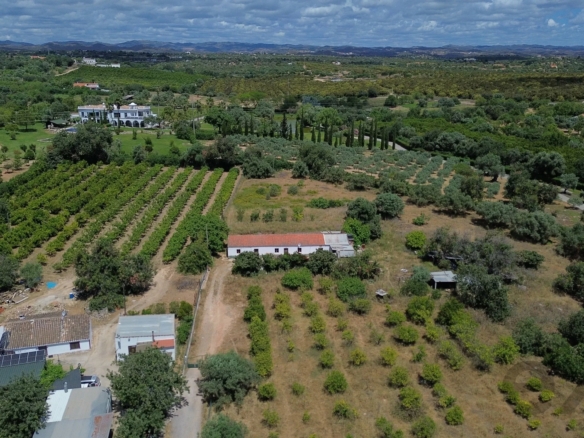 Quinta com 6 Divisões, 1,5 Hectares de Terreno e Vista Mar