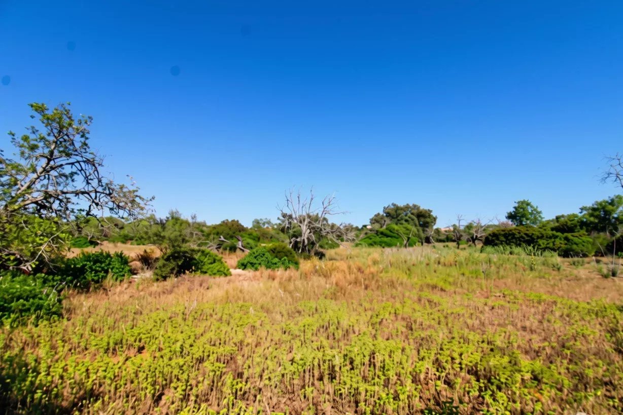 Rural flat land with 2920 m2 near Estoi, Faro