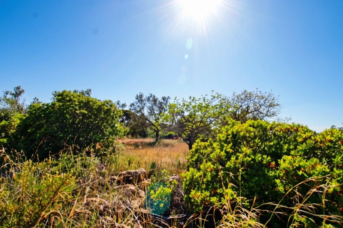 Rural flat land with 2920 m2 near Estoi, Faro