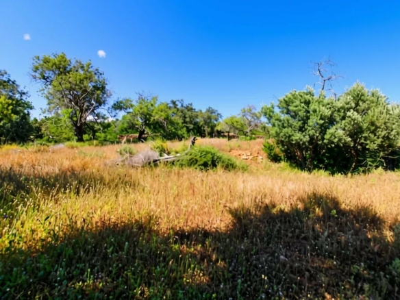 Rustic flat land of 11760 m2 with excellent potential in Estoi, Faro