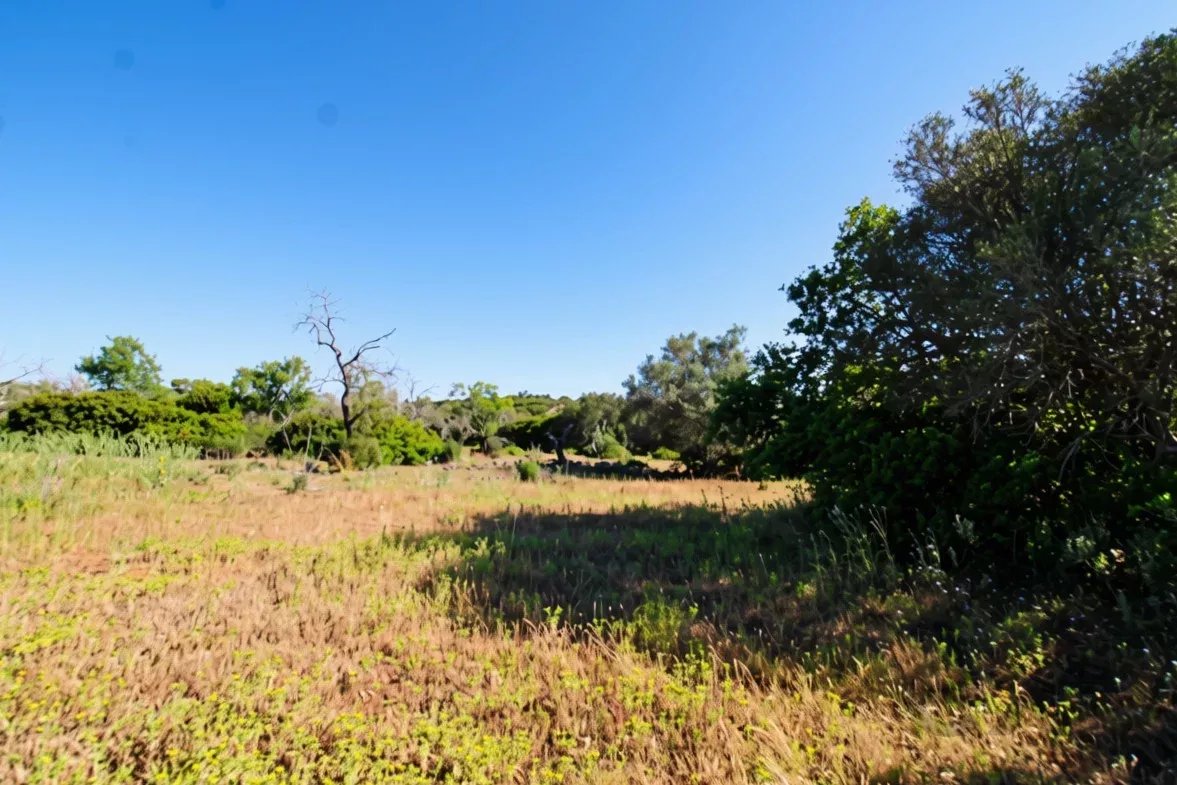 Rural flat land with 2920 m2 near Estoi, Faro