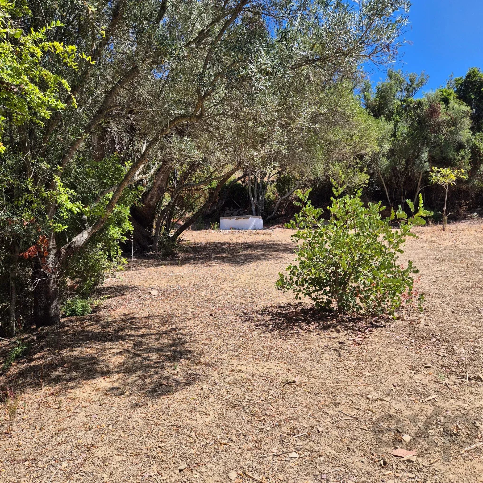 Rustic plot with well, Estoi – Faro