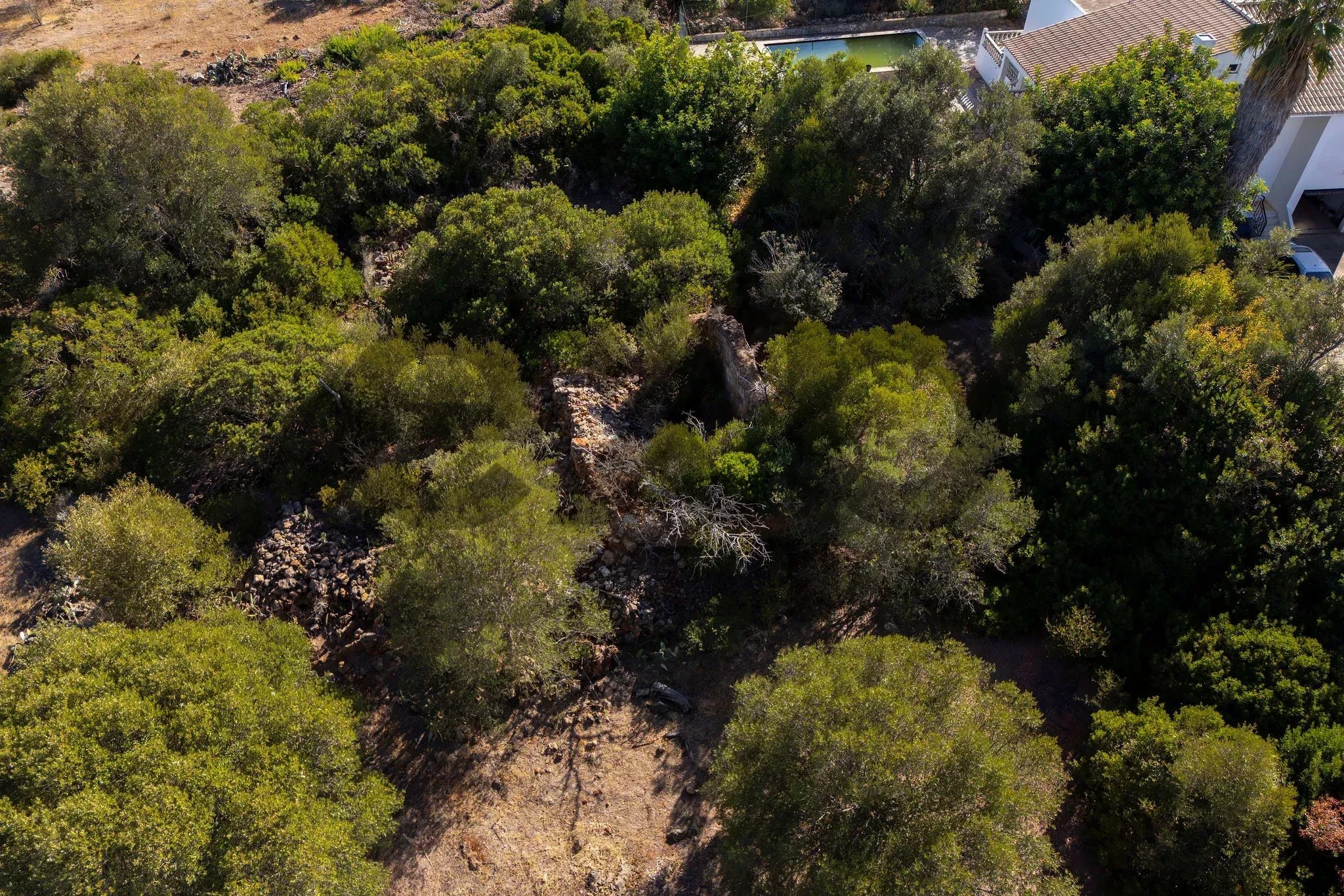 Plot with Ruin and Approved Project for a T4 with sea views