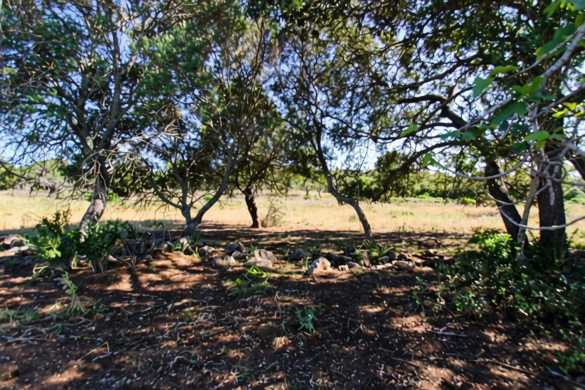 Rural flat land with 2920 m2 near Estoi, Faro