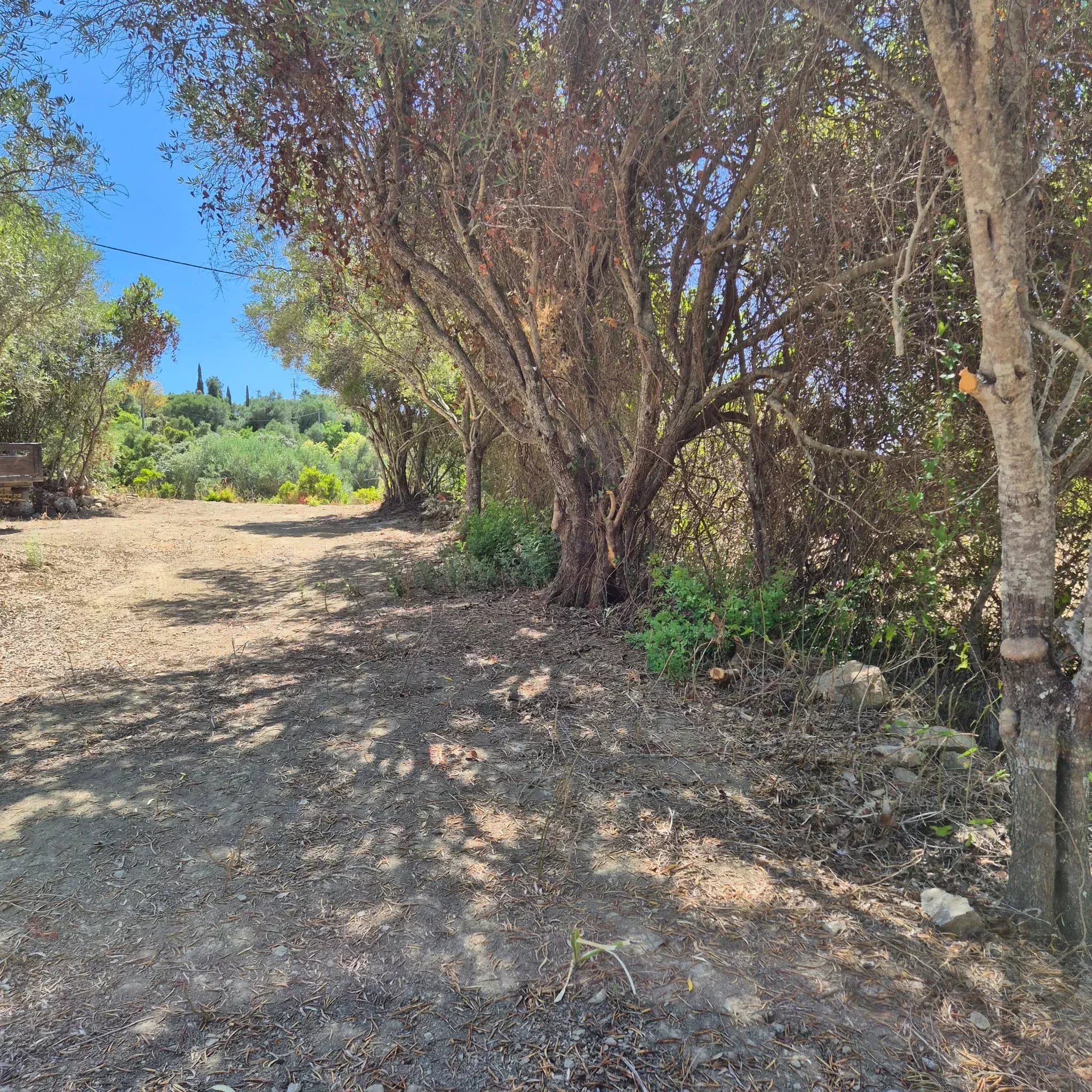 Rustic plot with well, Estoi – Faro