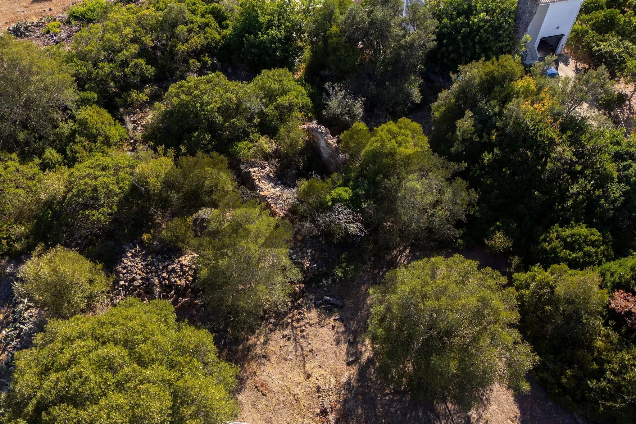 Plot with Ruin and Approved Project for a T4 with sea views