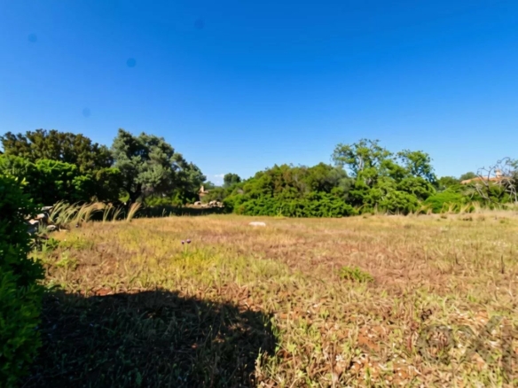 Terrain rural plat de 2.920 m² à proximité d’Estoi, Faro