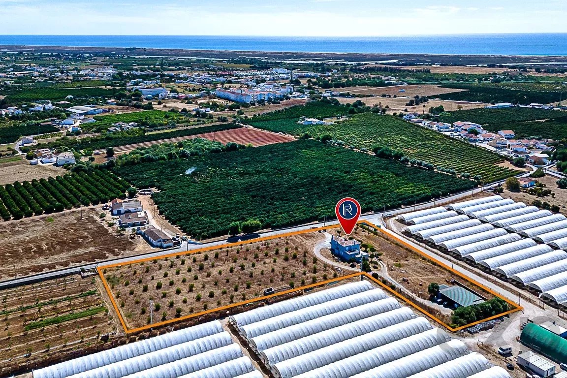 4-Bedroom Villa with 8,400m² Plot, Luz de Tavira - Algarve