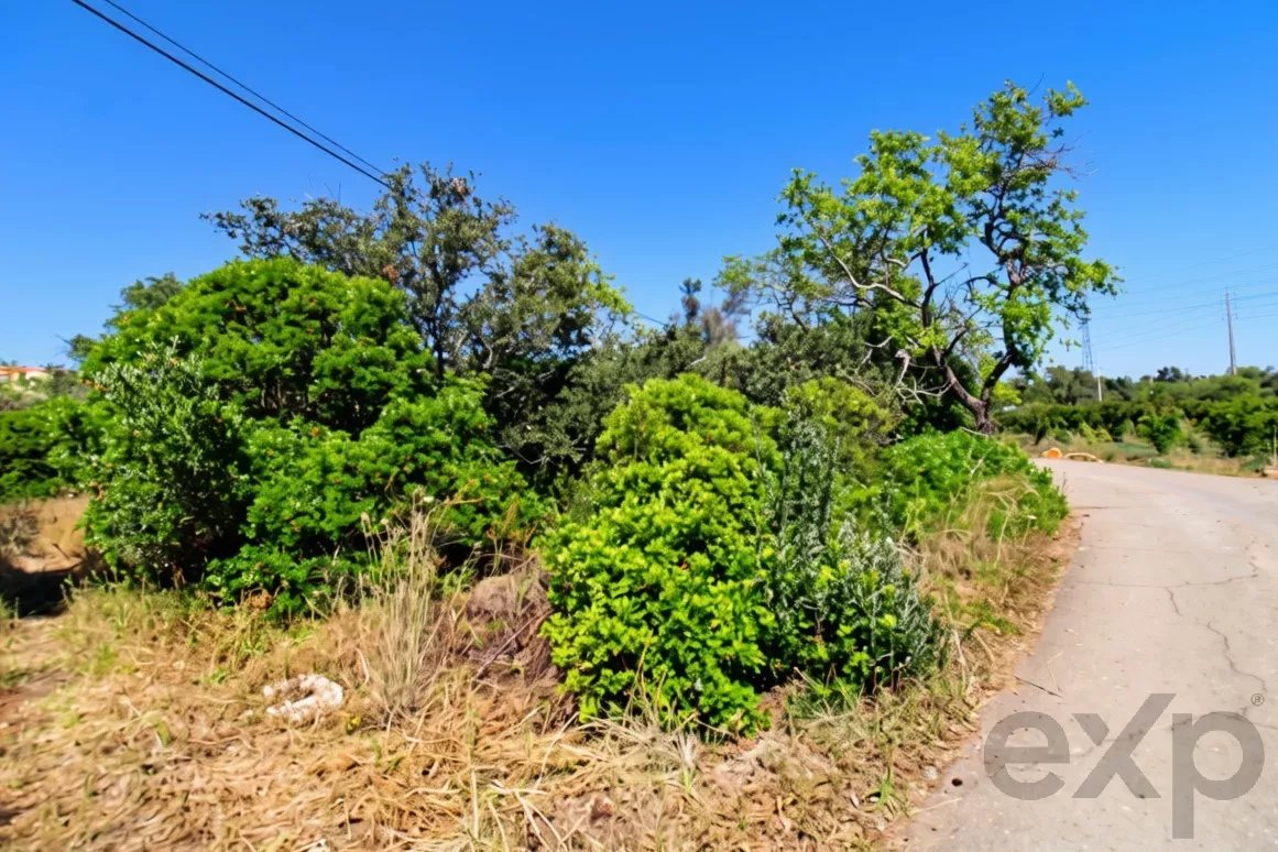 Rustic flat land of 11760 m2 with excellent potential in Estoi, Faro