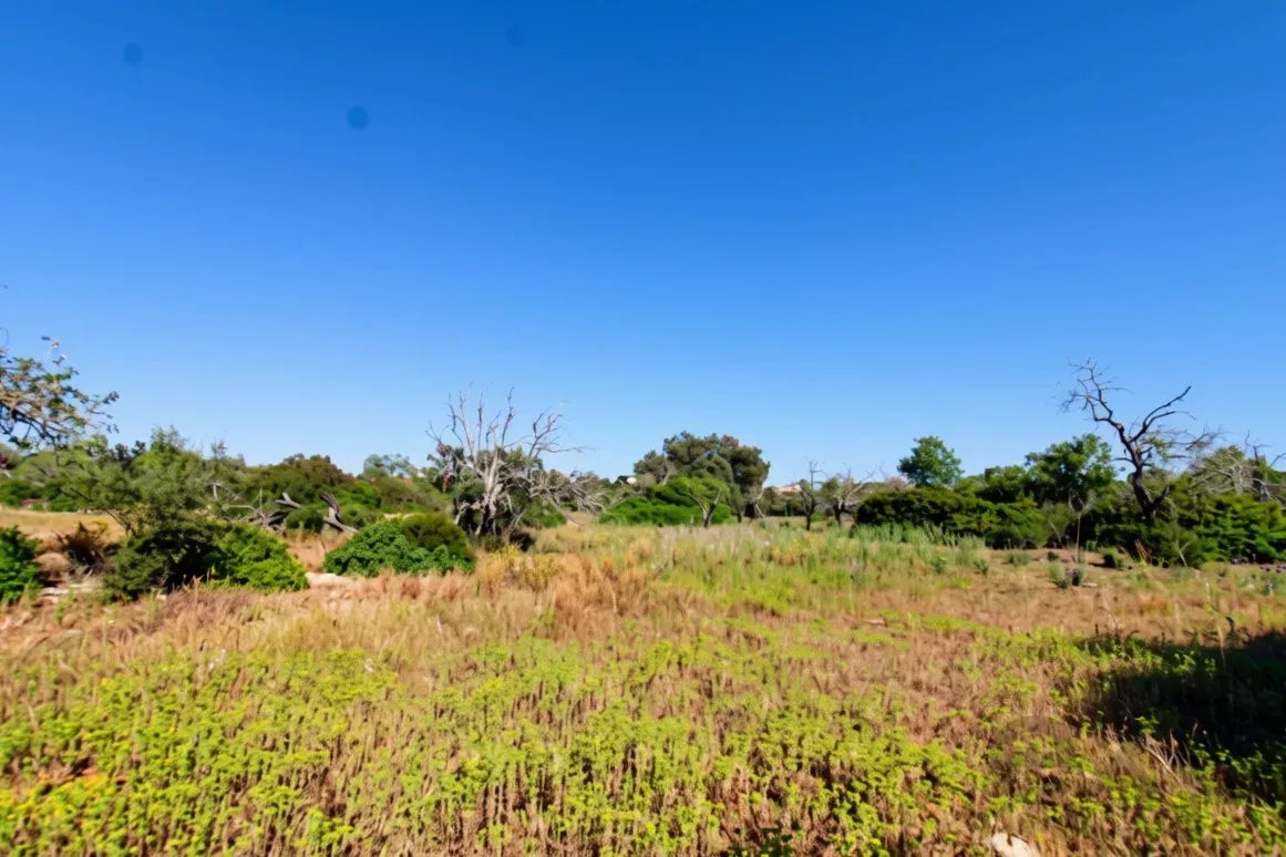 Rural flat land with 2920 m2 near Estoi, Faro