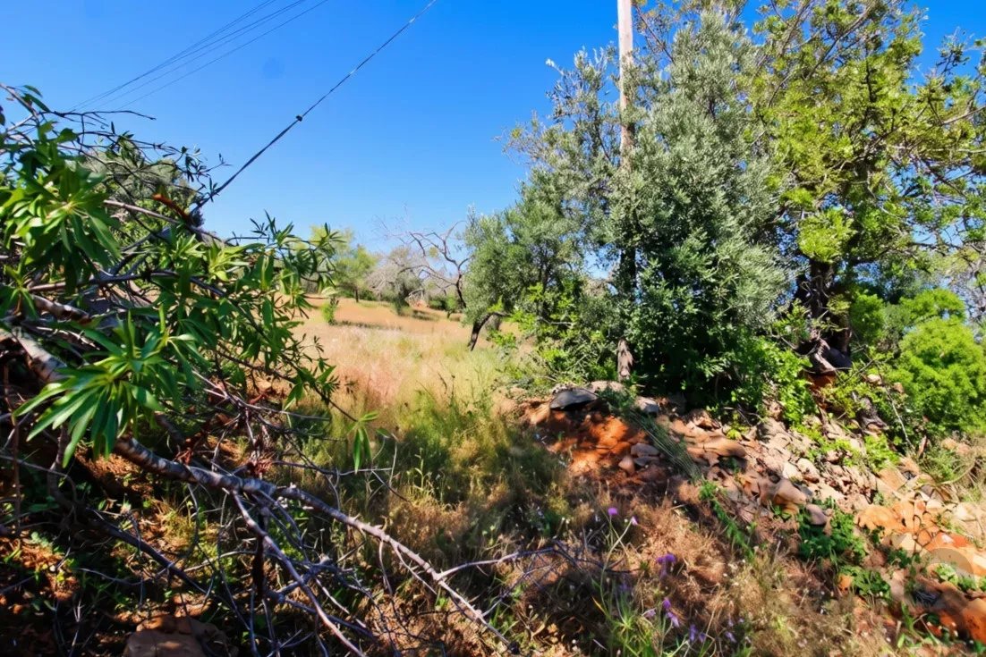 Rustic flat land of 11760 m2 with excellent potential in Estoi, Faro