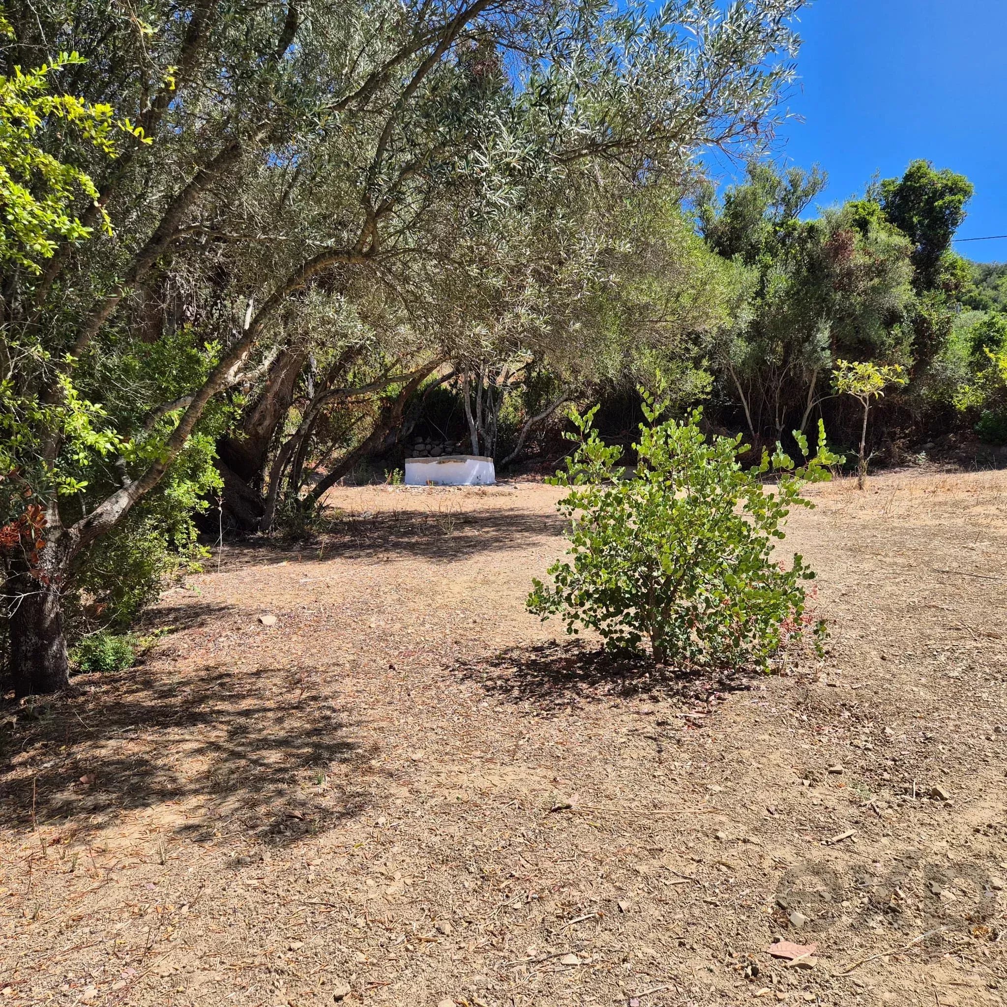 Rustic plot with well, Estoi – Faro