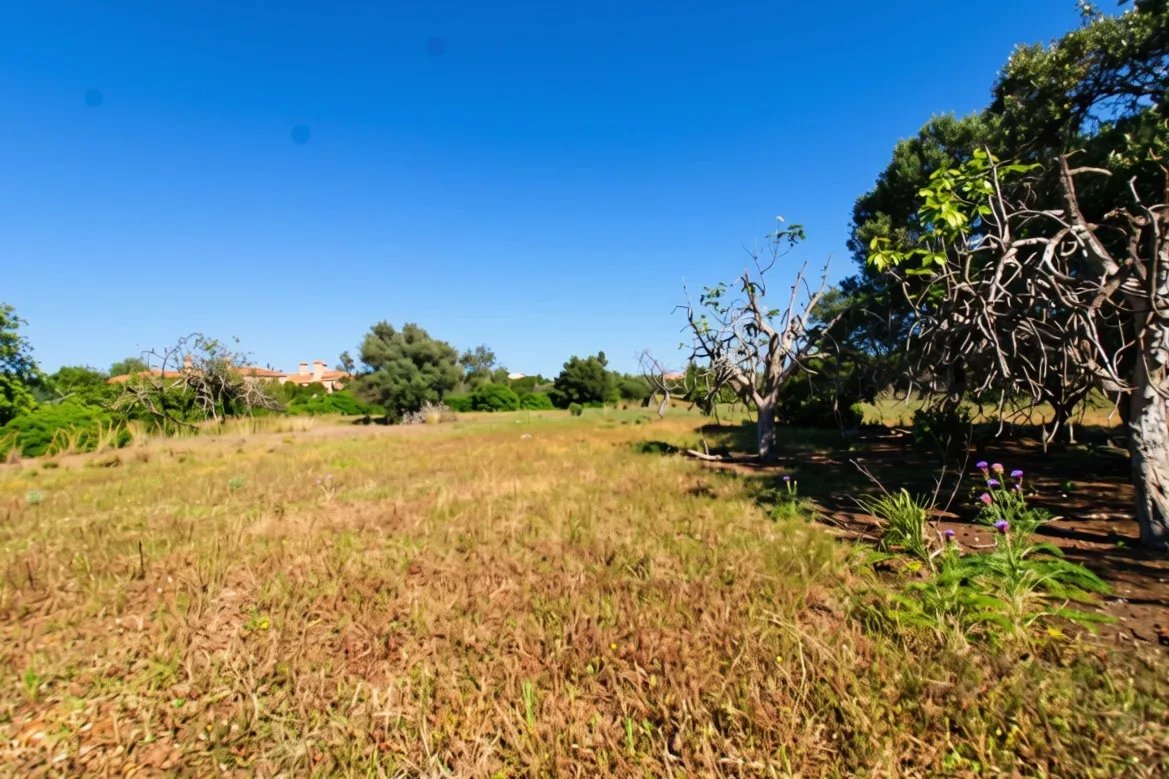 Rural flat land with 2920 m2 near Estoi, Faro