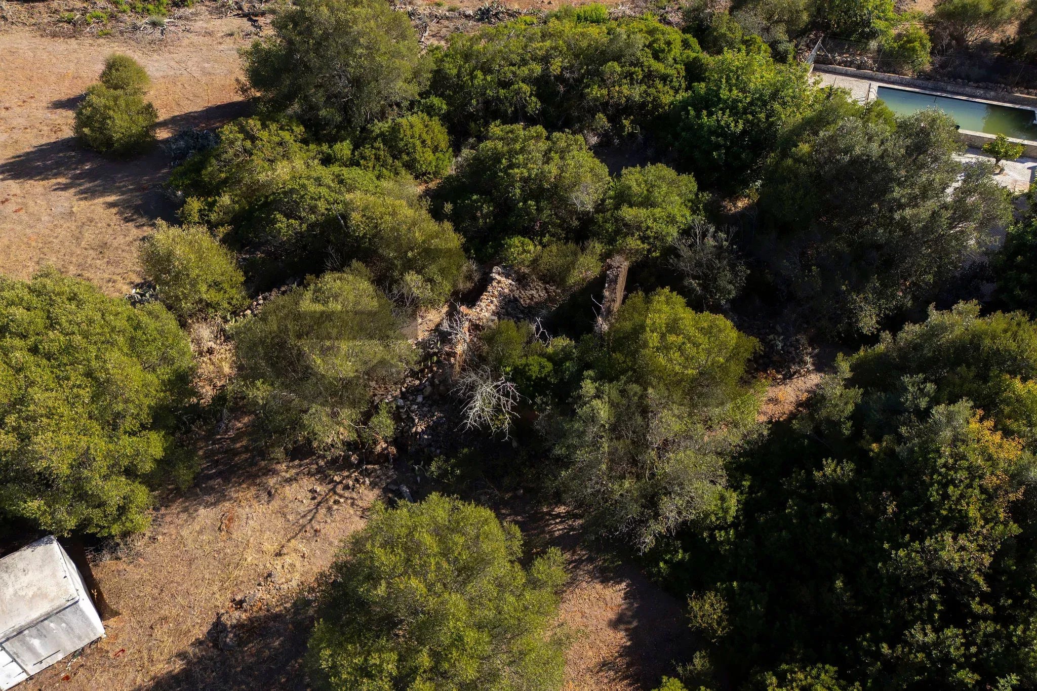 Plot with Ruin and Approved Project for a T4 with sea views