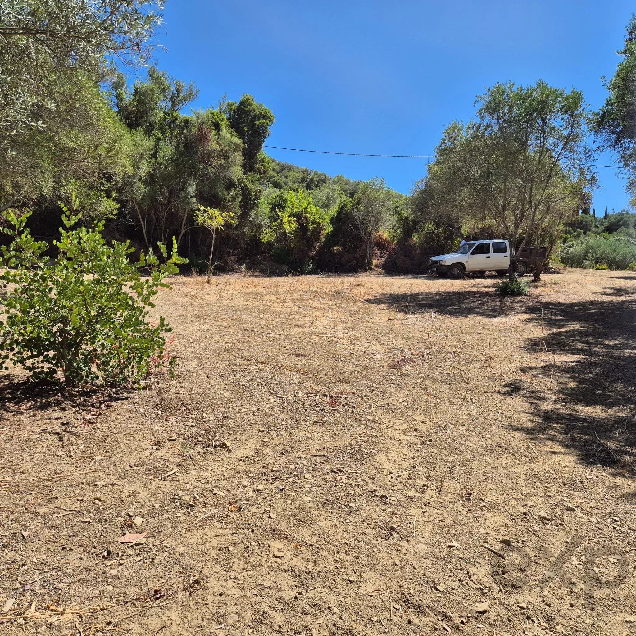 Rustic plot with well, Estoi – Faro