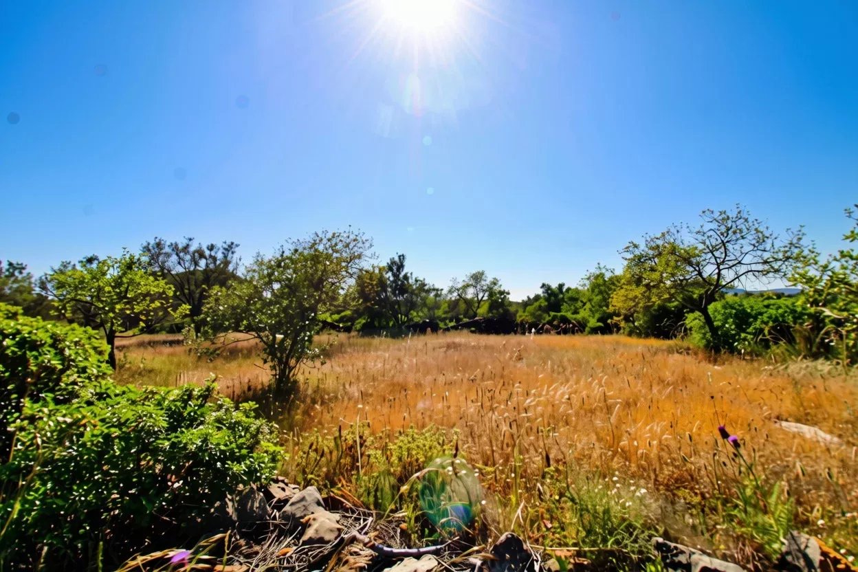 Rural flat land with 2920 m2 near Estoi, Faro