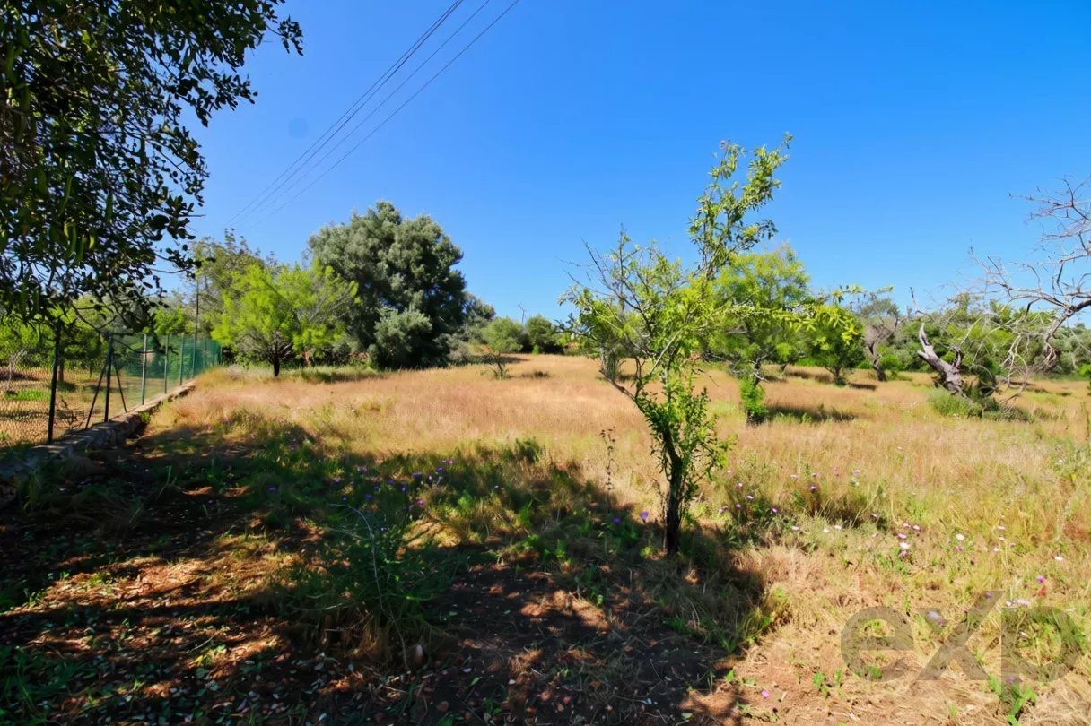 Rustic flat land of 11760 m2 with excellent potential in Estoi, Faro