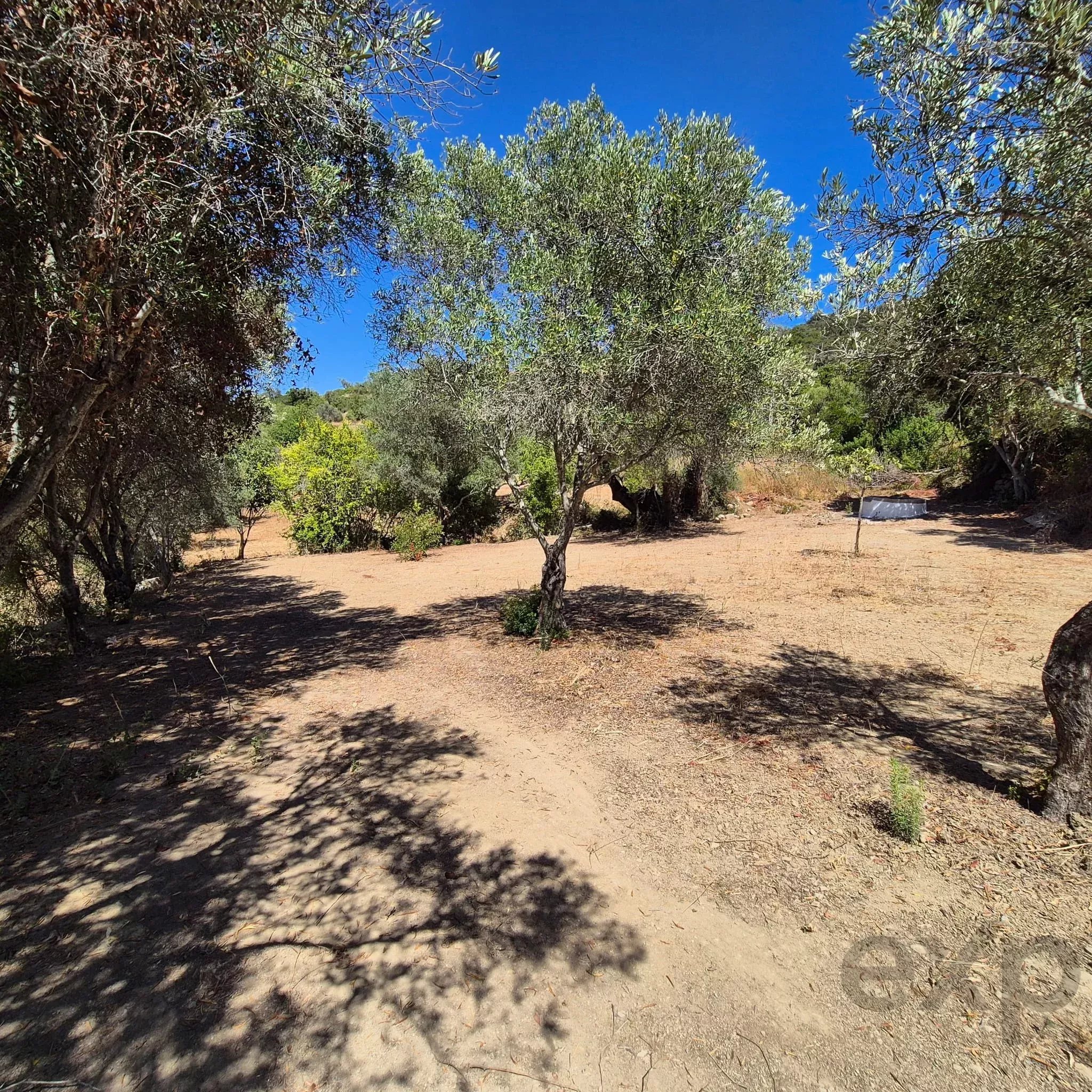Rustic plot with well, Estoi – Faro