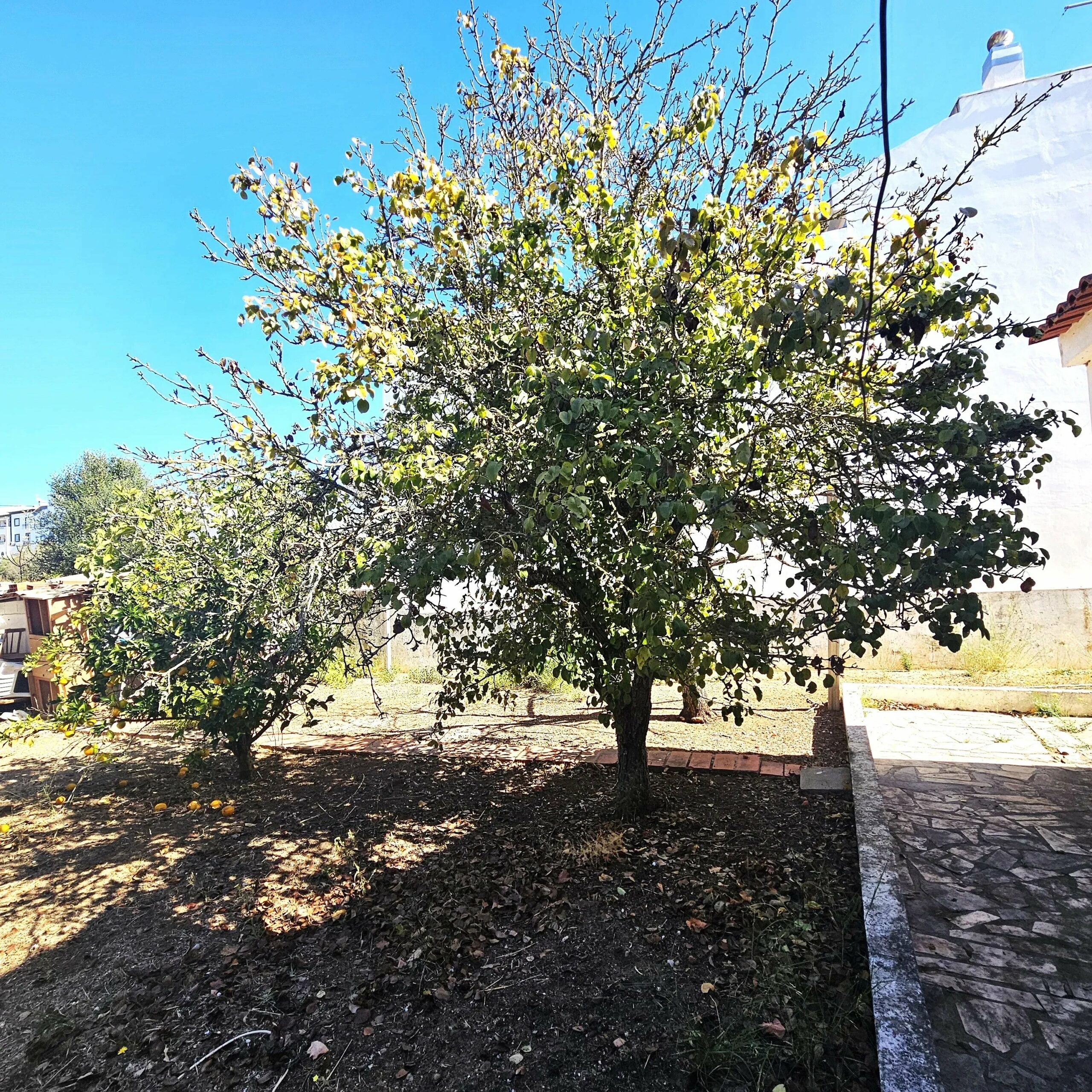 Two-Family House in Ferragudo - Charm, Space and Potential