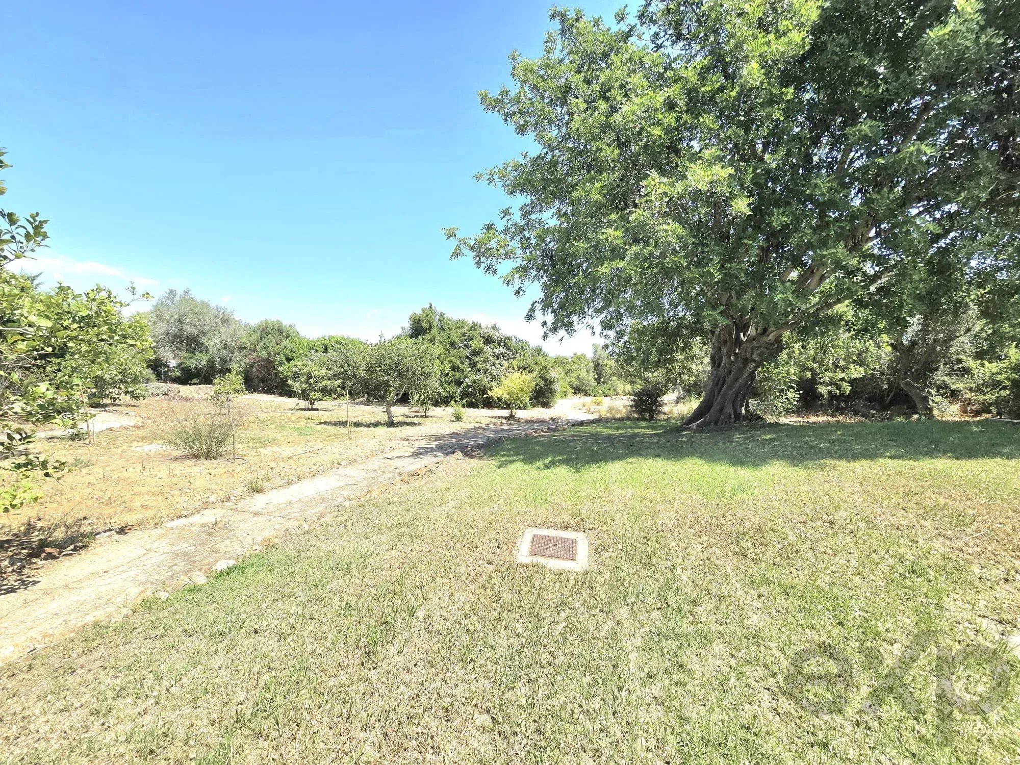 Three-bedroom villa with two-bedroom annexe, pool and countryside views in Carvoeiro