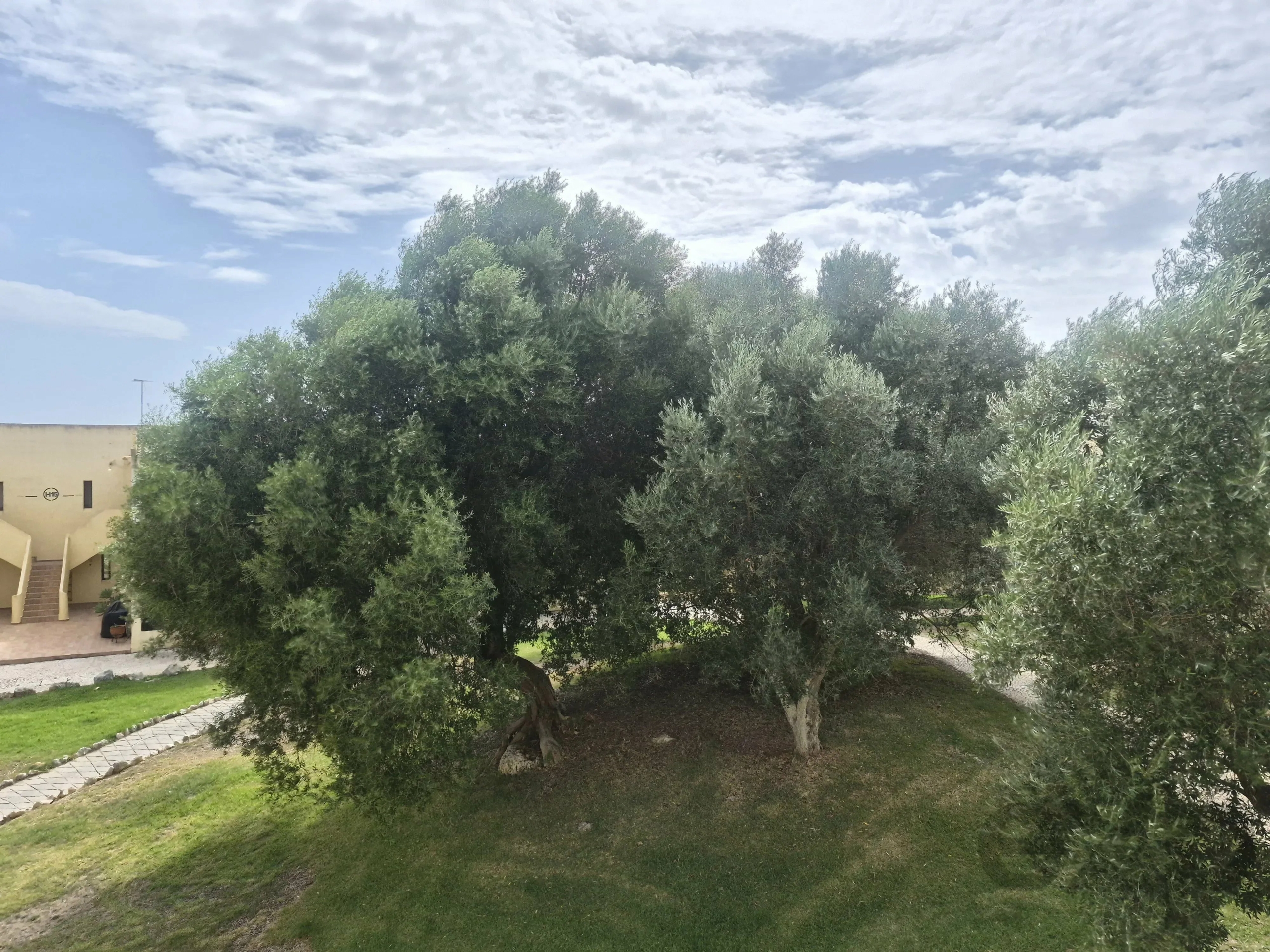 Bright south-facing one-bedroom apartment with balcony - Alvor