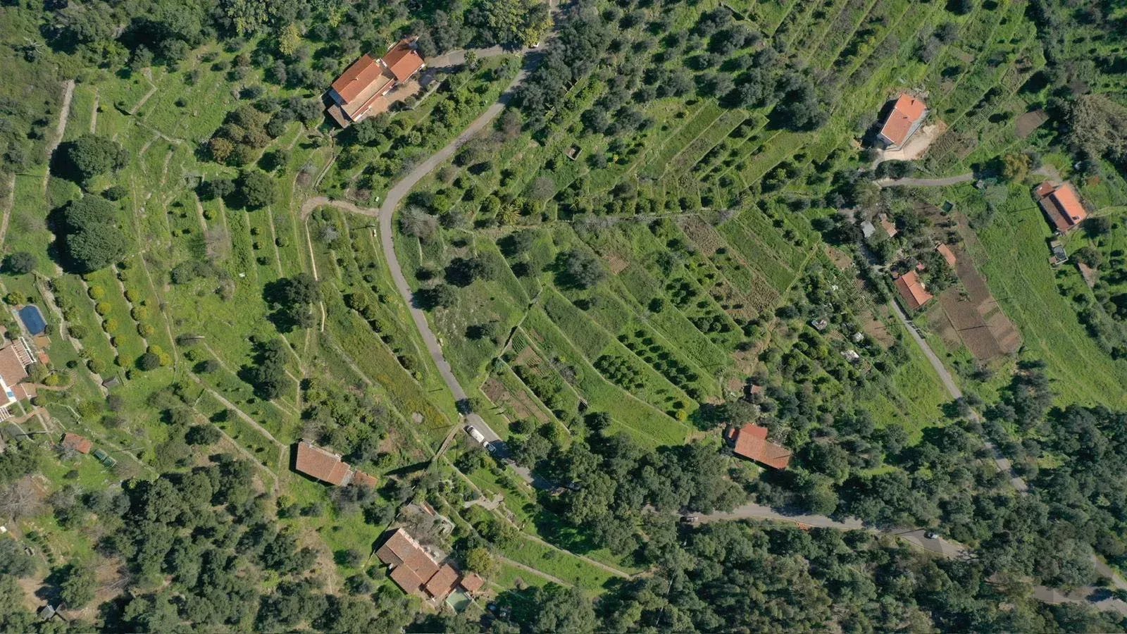 Paradise in the Mountains | Two Adjoining Rustic Plots | Monchique, Algarve