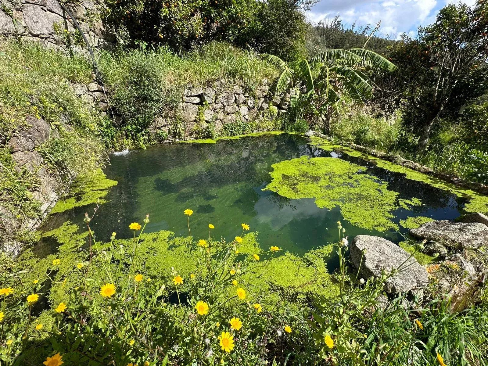 Paradise in the Mountains | Two Adjoining Rustic Plots | Monchique, Algarve
