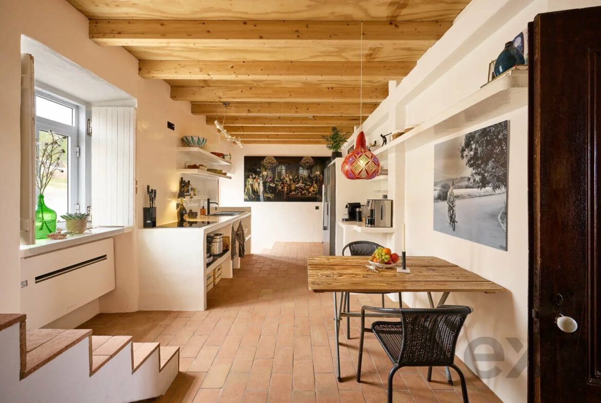 Renovated Village Townhouse with Rooftop Plunge Pool and Studio, near Silves, photo 7