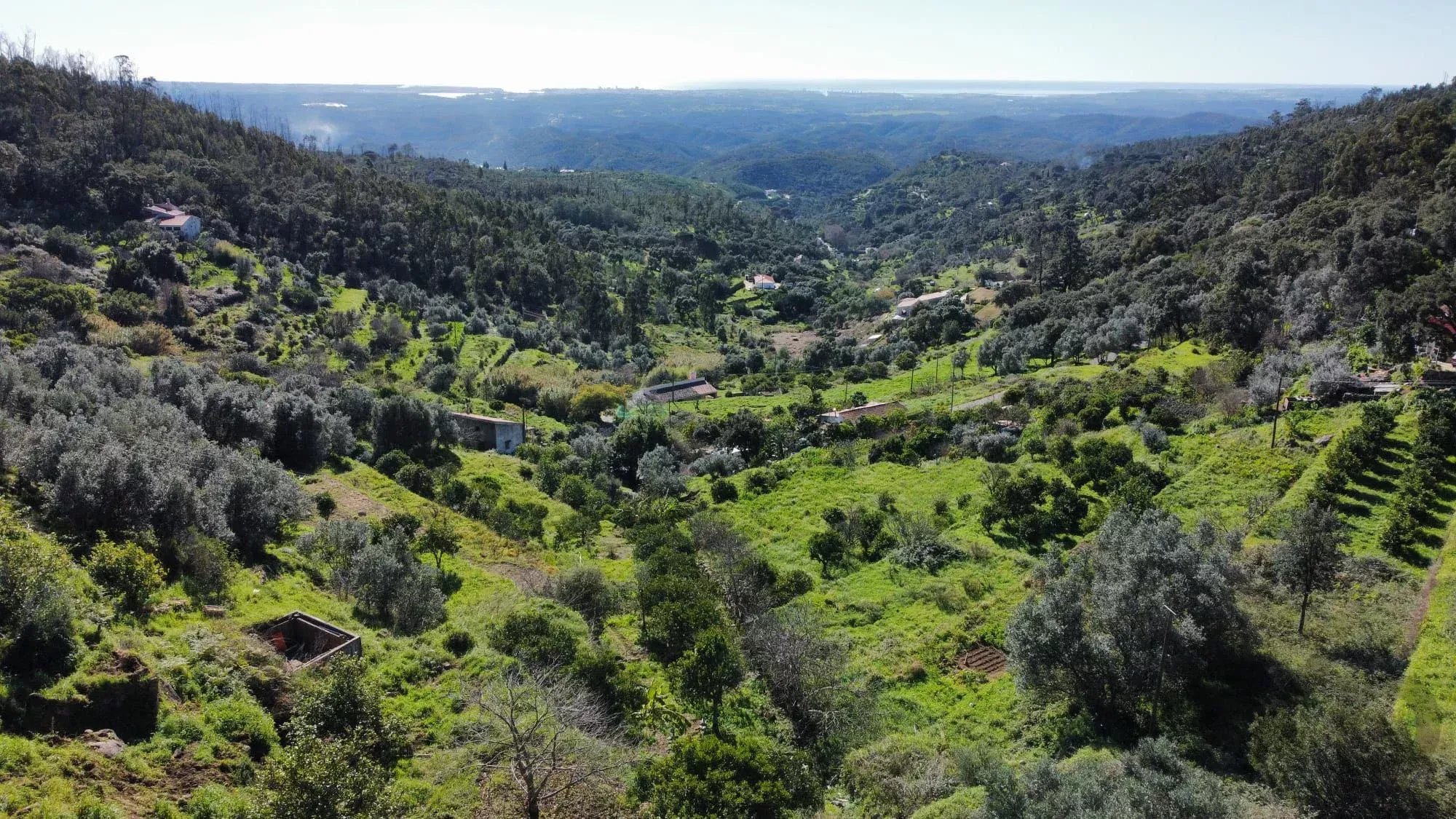 Paradise in the Mountains | Two Adjoining Rustic Plots | Monchique, Algarve
