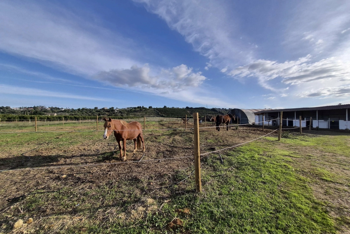Quinta renovada com localização ideal em plena natureza, foto 39